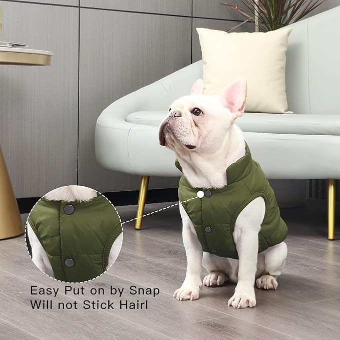 2 Layers Fleece Lined Warm Dog Jacket for Winter Cold Weather,Soft Windproof Large Dog Coat,Green XXL