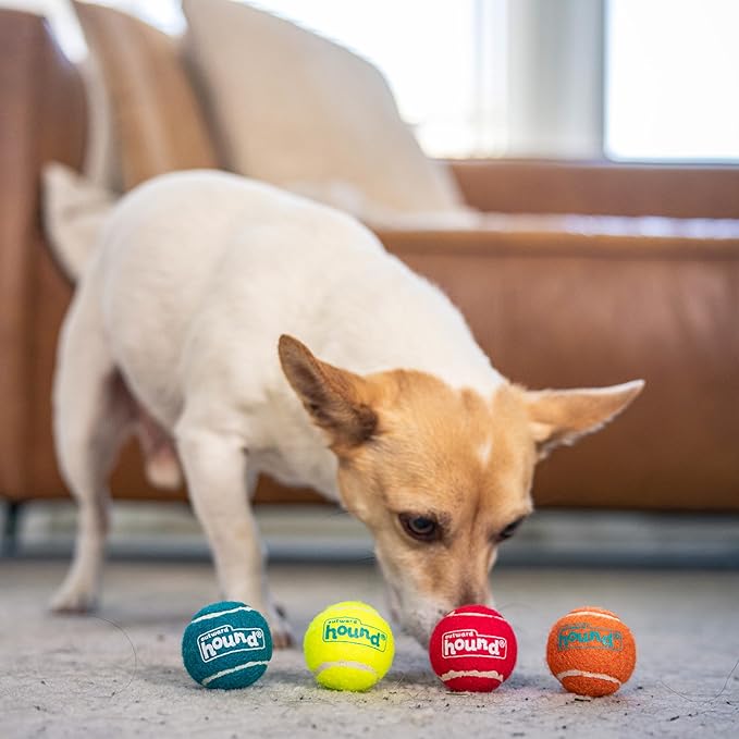 Outward Hound Squeaker Ballz 4-Pack Tennis Ball Dog Toys with Squeaker, Interactive Fetch Play for Pets Under 15 lbs, Training Balls for Indoor & Outdoor Exercise, X-Small, 1.5-inch