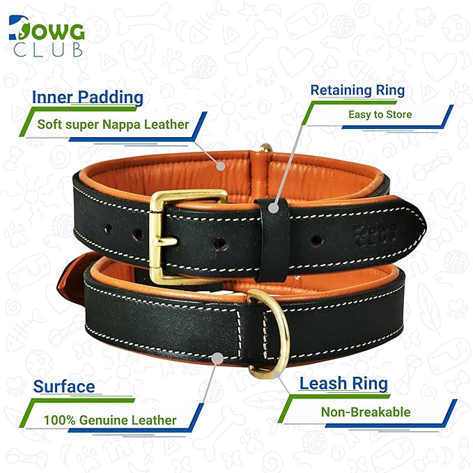 Genuine Leather Dog Collar | Full Grain, Heavy Duty, Comfortable, Padded, Strong | Best for Pups, Small, Medium, Large & XL Breeds (Small (Fit Neck Size 11.5"-14.5"), Teal Green)