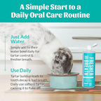 SKOUT'S HONOR Fresher Breath Water Additive for Pets - VOHC Accepted for Tartar Control, Freshens Breath Fast, No Brushing Required: Fresh & Flavorless 16oz - 3 Pack