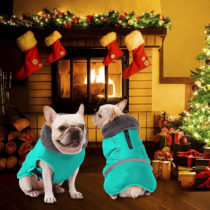 Dogcheer Warm Dog Coat, Waterproof Dog Jacket Christmas Puppy Winter Coat with Buckle, Reflective Adjustable Pet Snow Jacket Turtleneck Fleece Sweater for Small Medium Large Dogs - Pine Green, M