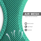 Fida Cat Harness and Leash Set for Walking Kitten and Puppy, Escape Proof Kitten Harness with Breathable Lightweight Soft Mesh, Adjustable Reflective Step-in Design. (XXS, Green)