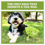 Pogi’s Dog Poop Bags – Leak-Proof & Extra Thick Pet Waste Bags (Unscented, 60 Rolls, 900-Count)