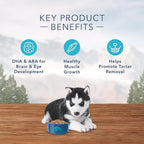 Blue Buffalo Wilderness Rocky Mountain Recipe High Protein, Natural Puppy Dry Dog Food, Red Meat 4-lb