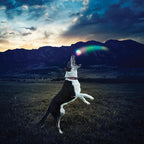 GlowStreak® LED Ball - Disc-O