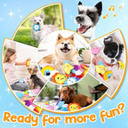Irresistible Weather-Themed 20-Pack Squeaky Dog Toys Set for Small Dogs & Puppies, Included 16 Plush Toys with Vibrant Characters to Keep Them Busy & 4 Dog Bags