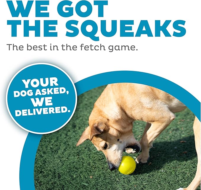 Outward Hound by Planet Dog Squeak Ball Bouncy Fetch Dog Toy, Yellow