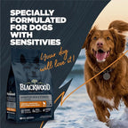 Blackwood Sensitive Skin & Stomach Dry Dog Food, Lamb Meal & Brown Rice with Ancient Grains, 24 Pound Bag with Prebiotics & Probiotics to Promote Gut Health