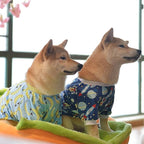 CuteBone Small Dogs Outfit Soft Puppy Onesies Pjs Dog Pajamas Pet Coat Cat Apparel Comfy Doggie Jumpsuit Bodysuit for All Seasons P16XXL