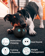 Mewlmart Giggle Ball for Dogs Owl Toys for Aggressive Chewers Punching Balls Gift for Dog Medium Large Dogs Ball Natural Rubber Cute Fun Owl Hoot (Death Knight)