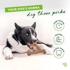 Benebone Wishbone Durable Dog Chew Toy for Aggressive Chewers, Made in USA, Large, Real Chicken Flavor