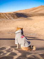 ChoChoCho Pup Dog Hoodie, Dog Sweater, Fashion Dog Clothes, Pet Clothing Cotton Cat Hoodies Stylish Streetwear Sweatshirt Gray Tracksuits Outfit for Dog Cat Puppy Small Medium Large (XL)