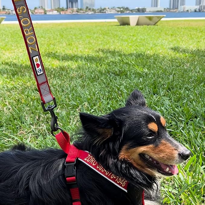 Pawtitas Personalized Dog Leash Embroidered Customize Your Pet Name & Phone Number Puppy Reflective 6 ft Long Large Pink Custom Tag Name, Pink Reflective 🔦 Padded