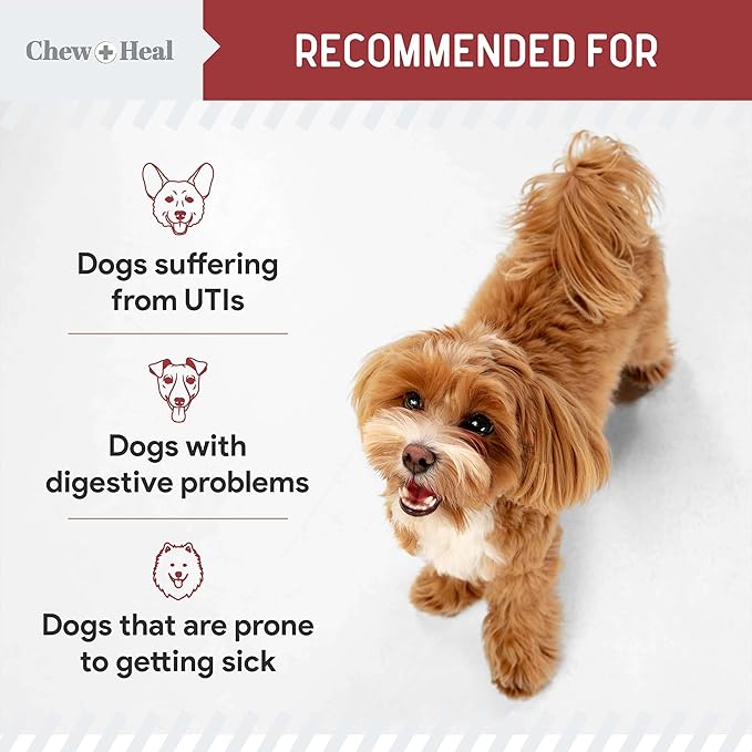 Dog UTI Treatment Cranberry Supplement for Dogs, 120 Soft Chews - Natural Urinary Tract Infection Support and Healthy Bladder Control – Made with Echinacea and Vitamin C