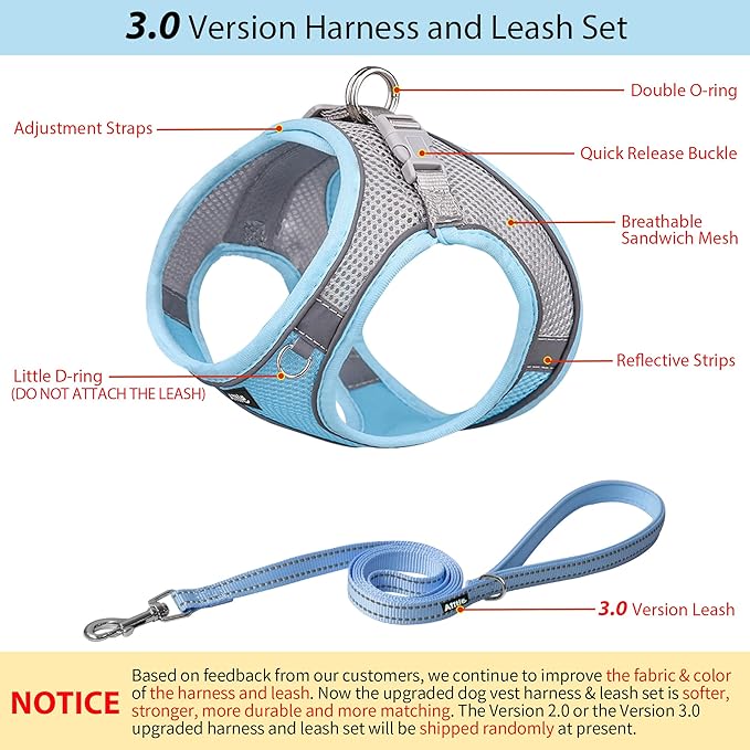 AIITLE Step in Dog Harness and Leash Set - Summer No Pull Escape Proof Vest Harnesses with Soft Mesh and Reflective Bands, Adjustable Pet Outdoor Harnesses for Small and Medium Dogs Blue M
