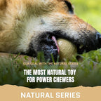 Monster K9 Indestructible Natural Series Dog Ball - Backed for Life - No Color Additives, Minimal Fillers, Safe Non-Toxic - Durable Toy for Aggressive Chewers - USA Made - 2.8” Solid(Tennis Ball Size)