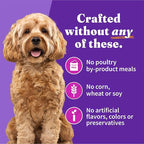 Halo Wet Dog Food For Small Dogs, Grain Free, Turkey & Duck 5.5 Ounce (Pack of 12)