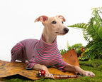 Dog Sweaters for Small Dogs Girls Boys, Striped Pet Sweaters for Fall Winter Dog Clothes, Turtleneck Pullover Knitwear for Small Medium Large Dogs