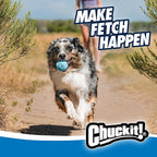 Chuckit! Rebounce Ball Dog Toy - Bouncy Fetch Balls for Dogs 20-60 lbs - Made from Durable Rubber - Outdoor Pet Toys - Size Medium - 2.5-inch Diameter - Pack of 2 - Blue