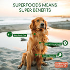 Hypoallergenic Healthy Dog Treats: Plant-Based Vegetarian Dog Snacks w/ Kelp, Sweet Potato, Chia, Flaxseed, Coconut Oil for Skin & Coat, Grain & Gluten-Free Vegan Protein Dog Treats Training, 5 oz