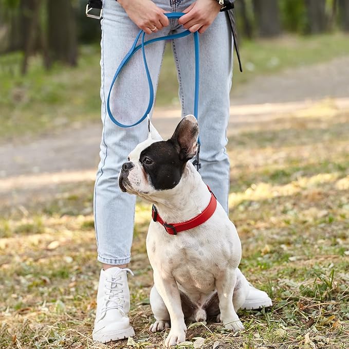 Dogline Biothane Waterproof Dog Leash Strong Coated Nylon Webbing with Black Hardware Odor-Proof Easy to Clean High Performance for Small or Large Dogs Made in USA 4 or 6 ft Lead, Cerulean Blue