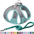 AIITLE Step in Dog Harness and Leash Set - Summer No Pull Escape Proof Vest Harnesses with Soft Mesh and Reflective Bands, Adjustable Pet Outdoor Harnesses for Small and Medium Dogs Turquoise M