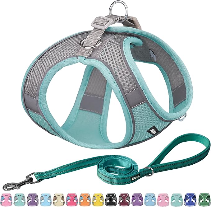 AIITLE Step in Dog Harness and Leash Set - Summer No Pull Escape Proof Vest Harnesses with Soft Mesh and Reflective Bands, Adjustable Pet Outdoor Harnesses for Small and Medium Dogs Turquoise M