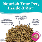Solid Gold Toy & Small Breed Dry Dog Food Small Bites – Real Beef, Grain Free, Gluten Free, High Fiber Kibble with Probiotics for Gut Health & Digestion Support – Healthy Dog Food All Ages – 11LB