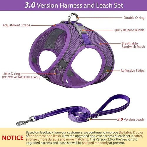 AIITLE No Pull Dog Harness and Leash Set, Step in Adjustable Dog Harness with Padded Vest for All Weather, Dog Leash with Soft Padded Handle, Easy to Put on Small and Medium Dogs Pure Purple S