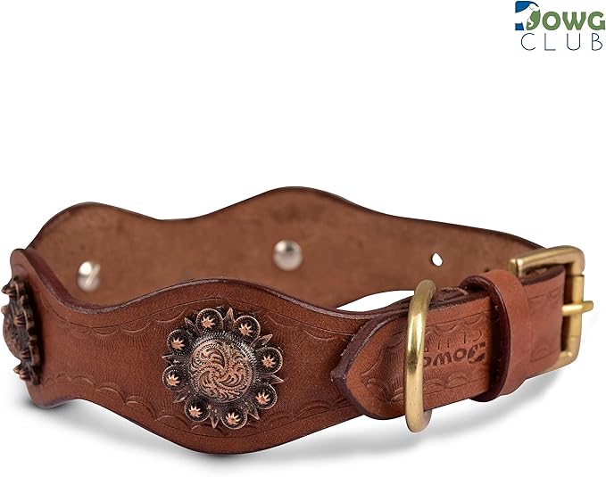 | Genuine Leather Collar with Scalloped Edges | Hand Tooled, Hand Carved, Full Grain, Heavy Duty | Comfortable, Strong (Large (Fit Neck Size 18.5"-22.5"), Brown-Scalloped Edges)