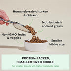 Open Farm, Ancient Grains Dry Dog Food for Small Breeds, Protein-Rich & Nutrient Dense, 90% Animal Protein with Non-GMO Fruits, Veggies and Superfoods, Chicken & Turkey Recipe for Small Dogs, 4lb Bag