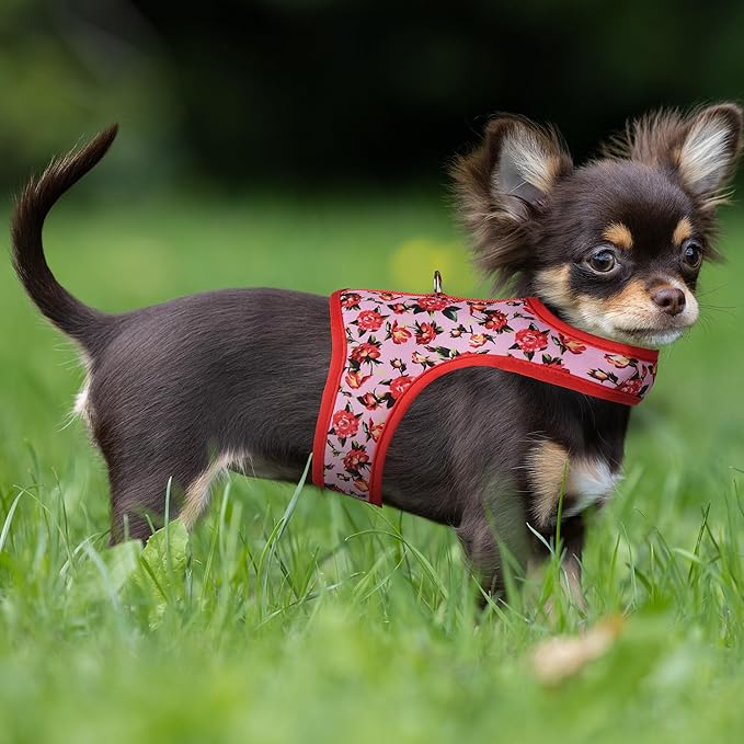 Mile High Life Velcro Dog Harness, Air Mesh Floral Vest Harness for 20 lbs Small Dogs & Cats, Easy Get on Adjustable Easy Closures Both Neck and Chest(Peony Rose, S Chest 16"-18")