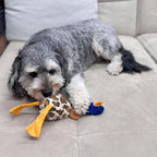 SPOT Skinneeez Plus Duck - Stuffing Free Dog Toy with Two Piece Rubber Body and Two Squeakers, Fun to Bite, Stuffingless Design is Great for Moderate Chewers, Tug Toy for Puppies & Dogs - 15in