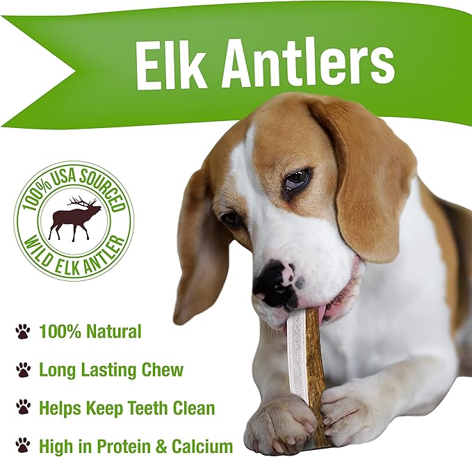 Buck Bone Organics Dog Chews, Antlers for Dogs, Premium Natural Elk, Long Lasting Dog Bones for Aggressive Chewers, No Preservatives, Wild Shed in The USA Medium