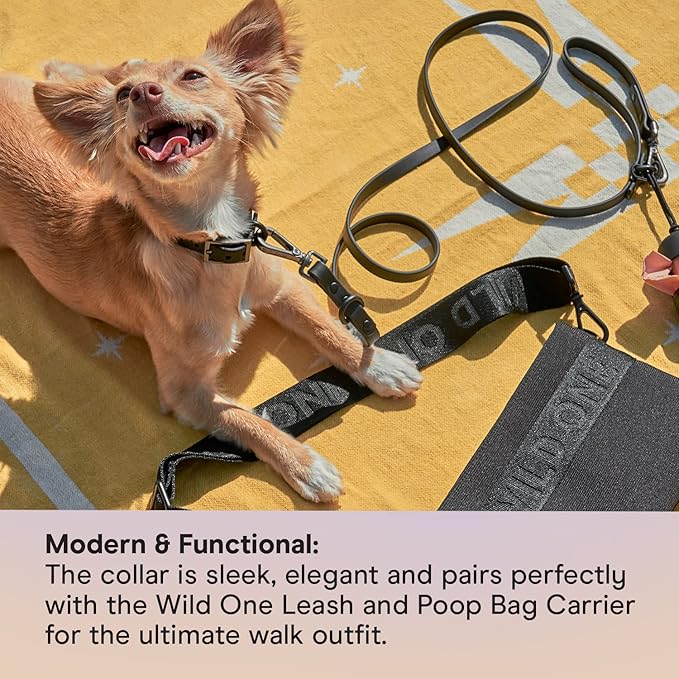 Wild One Dog Collar, The Original Easy-Clean, All Weather Flex-Poly Strap with Metal, Durable, Dirt and Odor Resistant, Size XL, Black