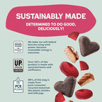 Shameless Pets Soft-Baked Dog Treats, Duck Duck Beet - Natural & Healthy Chews for Digestive Support with Fiber - Doggie Biscuits Baked & Made in USA, Free from Grain, Corn & Soy - 1-Pack