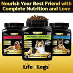 Hip and Joint Chews for Dogs + Skin and Coat Supplement - Dog Joint Pain Relief Treats - Glucosamine, Chondroitin, MSM, Hemp Oil, Turmeric, Omega 3 for Dogs, Mobility Dog Health Supplies
