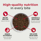 Nulo Frontrunner Ancient Grains High-Protein Dog Food, Chicken, Oats, & Turkey Recipe- Natural Dry Dog Food with Probiotics, Grain-Inclusive Kibble for Adult Dogs, 5 lb Bag