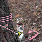 Rypet Reflective Cat Long Leash 15 FT Escape Proof Walking Leads Yard Long Leashes Durable Safe Personalized Extender Leash Traning Play Outdoor for Kitten, Puppy, Rabbit and Small Animals(Pink-S)