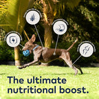ZIWI Peak Air-Dried Dog Food – Lamb - All Natural, High Protein, Grain Free, Limited Ingredient w/Superfoods (3.5oz)