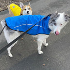Mile High Life Dog Raincoat, Adjustable Waterproof Reflective Rain Jacket for Small Medium Large Dogs, Lightweight Breathable Pet Rain Coat with Leash Hole(Blue,XXS Chest 16-19")