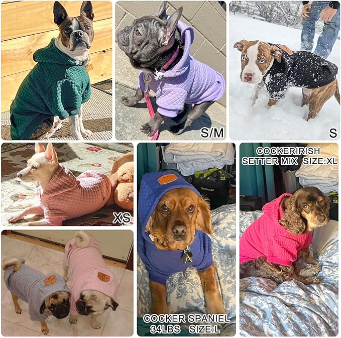BEAUTYZOO Medium Dog Hoodie Sweater with Pockets, Dog Clothes for Small Medium Dogs Boy Girl, Waffle-Like Laminated Cotton Pet Coats with Hat and Leash Hole, Blue XL