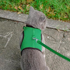 PUPTECK Soft Mesh Cat Vest Harness and Leash Set Puppy Padded Pet Harnesses Escape Proof for Cats Small Dogs Rabbits Bunny, Deep Green XL