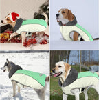 Dog Coat, Waterproof Dog Winter Jacket with Leash Hole, Reflective Adjustable Pet Fleece Sweater, Warm Snow Vest for Small Medium Large Dogs - Candy Green, XL