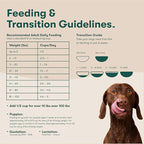 Jinx Premium Grain-Free Dry Dog Food, for All Lifestages - Grass-Fed Lamb, Sweet Potato & Carrot Dog Food with Superfoods for Immune Support & Probiotics for Digestive Support - No Fillers - 4lb