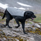 Furhaven Water-Repellent XL Dog Coat, Washable & Reflective w/ Leash Access & Stretch Fabric - Pro-Fit Active Jacket - Chrome, Extra Large