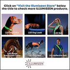 ILLUMISEEN LED Dog Collar USB Rechargeable - Bright & High Visibility Lighted Glow Collar for Pet Night Walking -Weatherproof, in 6 Colors & 6 Sizes (Pink Large)