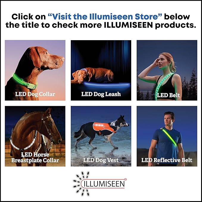 ILLUMISEEN LED Dog Collar USB Rechargeable - Bright & High Visibility Lighted Glow Collar for Pet Night Walking - Weatherproof, in 6 Colors & 6 Sizes (Red Large)