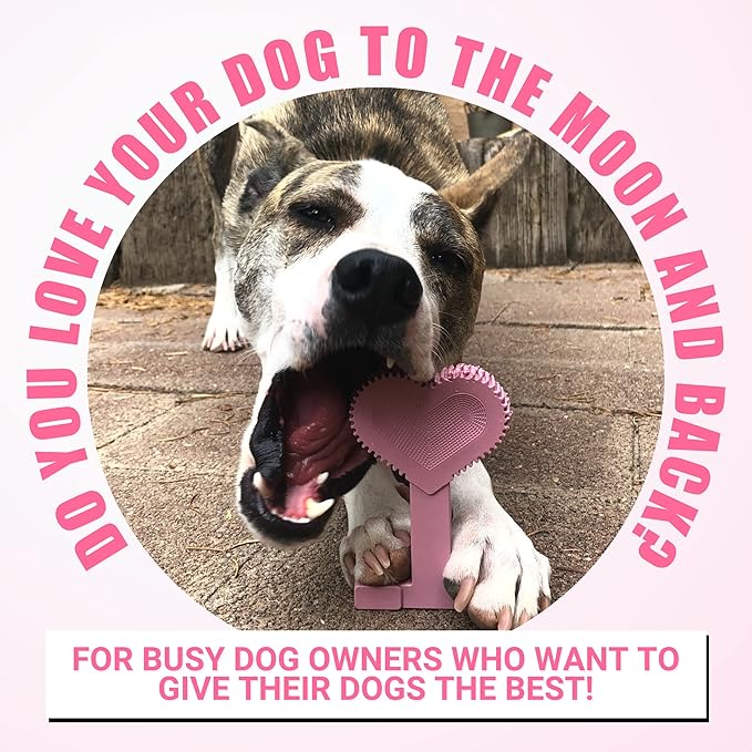 Bullibone Nylon Dog Chew Toy Nylon Bone - Improves Dental Hygiene, Easy to Grip Bottom, and Permeated with Flavor (Peppermint, Large - 2 Pack)