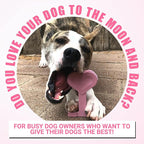 Bullibone Nylon Dog Chew Toy Nylon Bone - Improves Dental Hygiene, Easy to Grip Bottom, and Permeated with Flavor (Peppermint, Large - 2 Pack)